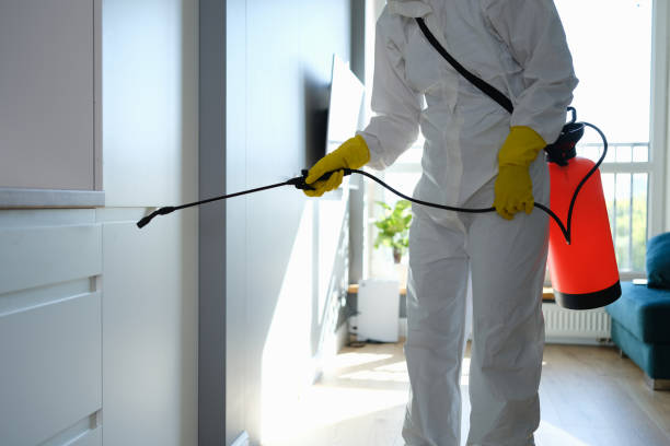 Professional Mold Remediation in Croton On Hudson, NY